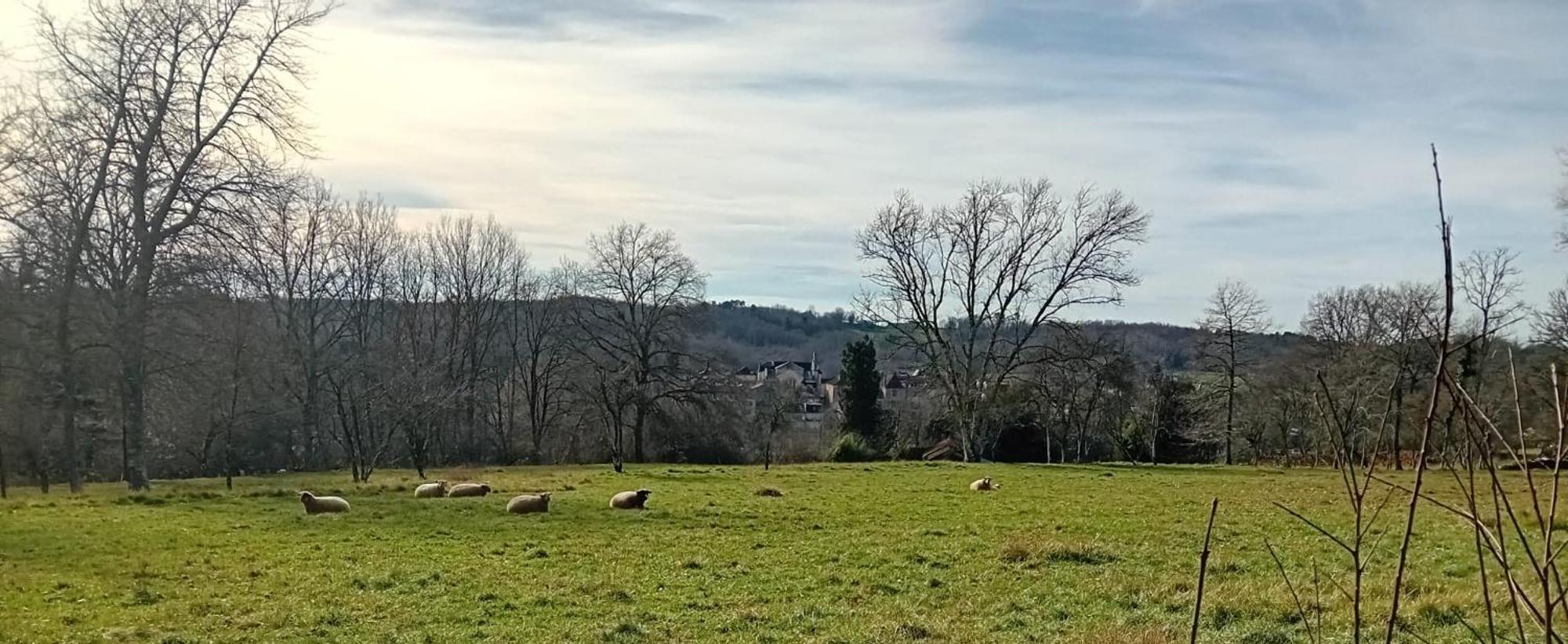 Villa Le Petit Figuier Villefranche-du-Périgord Exterior foto
